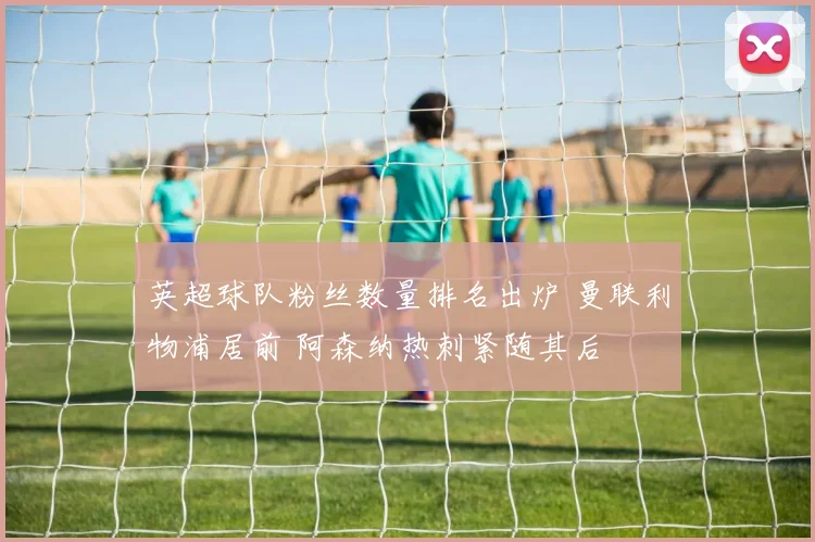 英超球队粉丝数量排名出炉 曼联利物浦居前 阿森纳热刺紧随其后